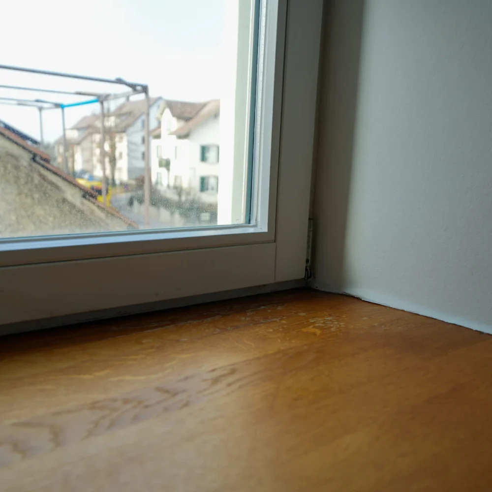 Schimmel am Fenster entfernt