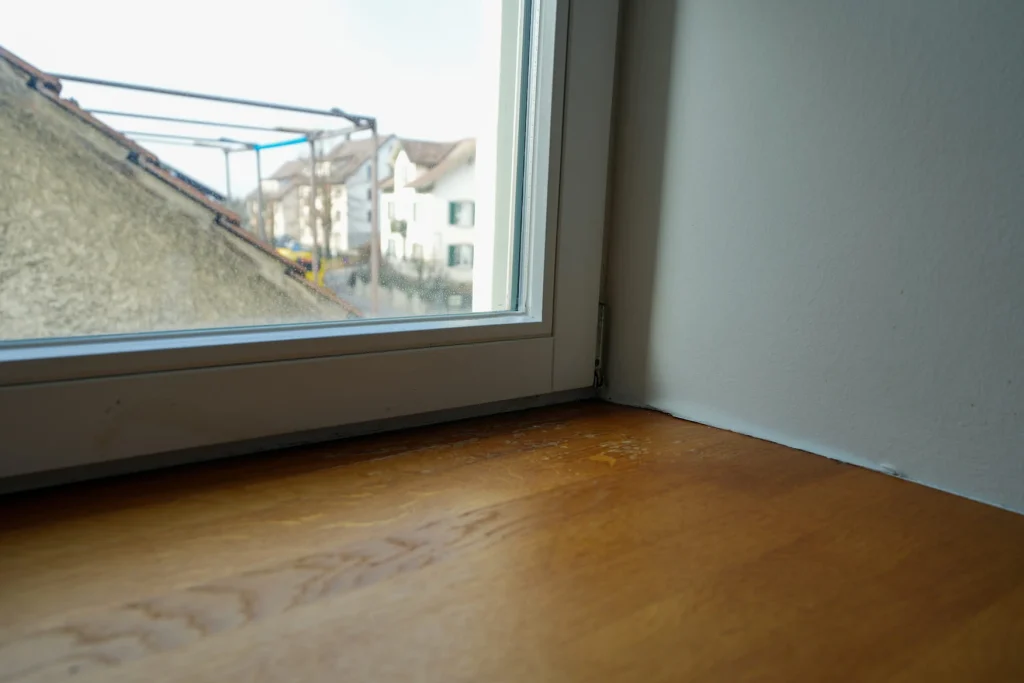 Schimmel am Fenster entfernt