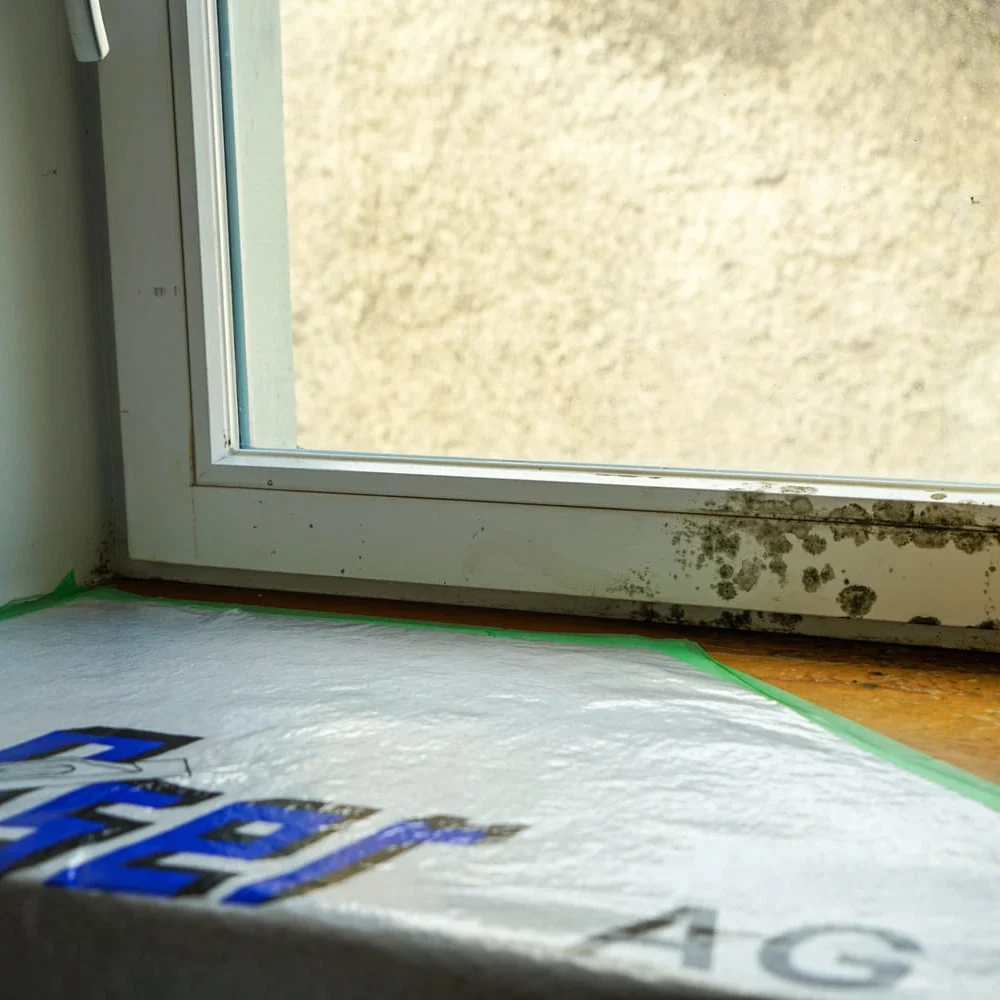 Schimmelbefall Fensterrahmen