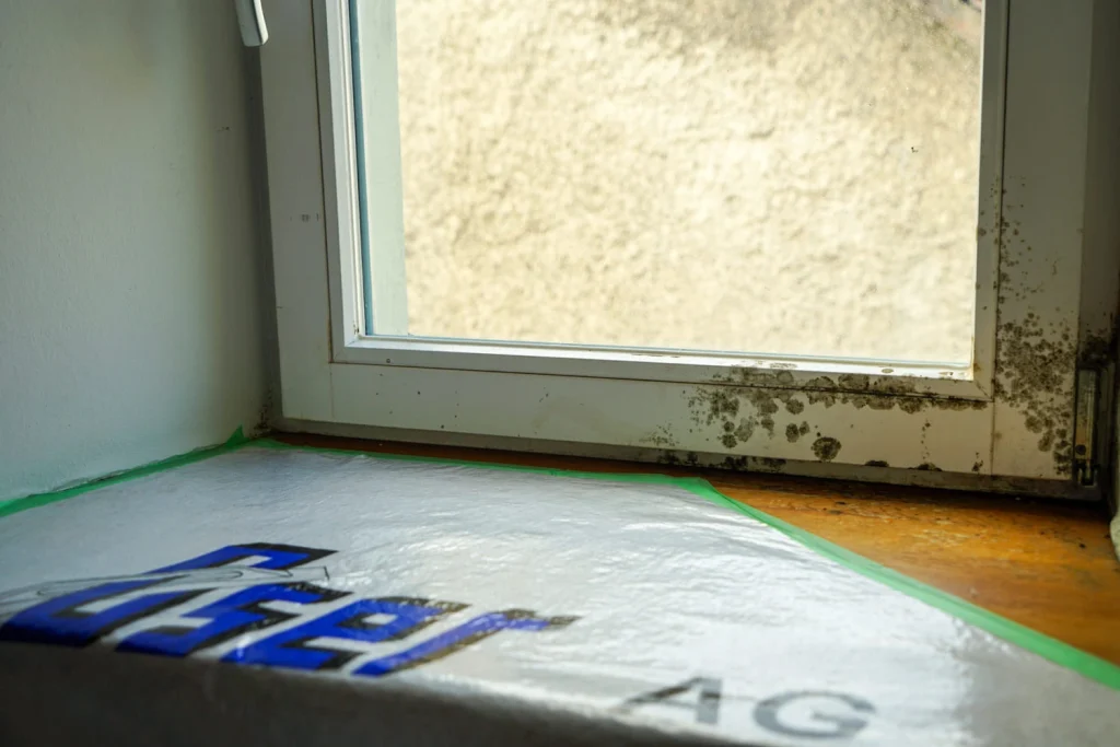 Schimmelbefall Fensterrahmen